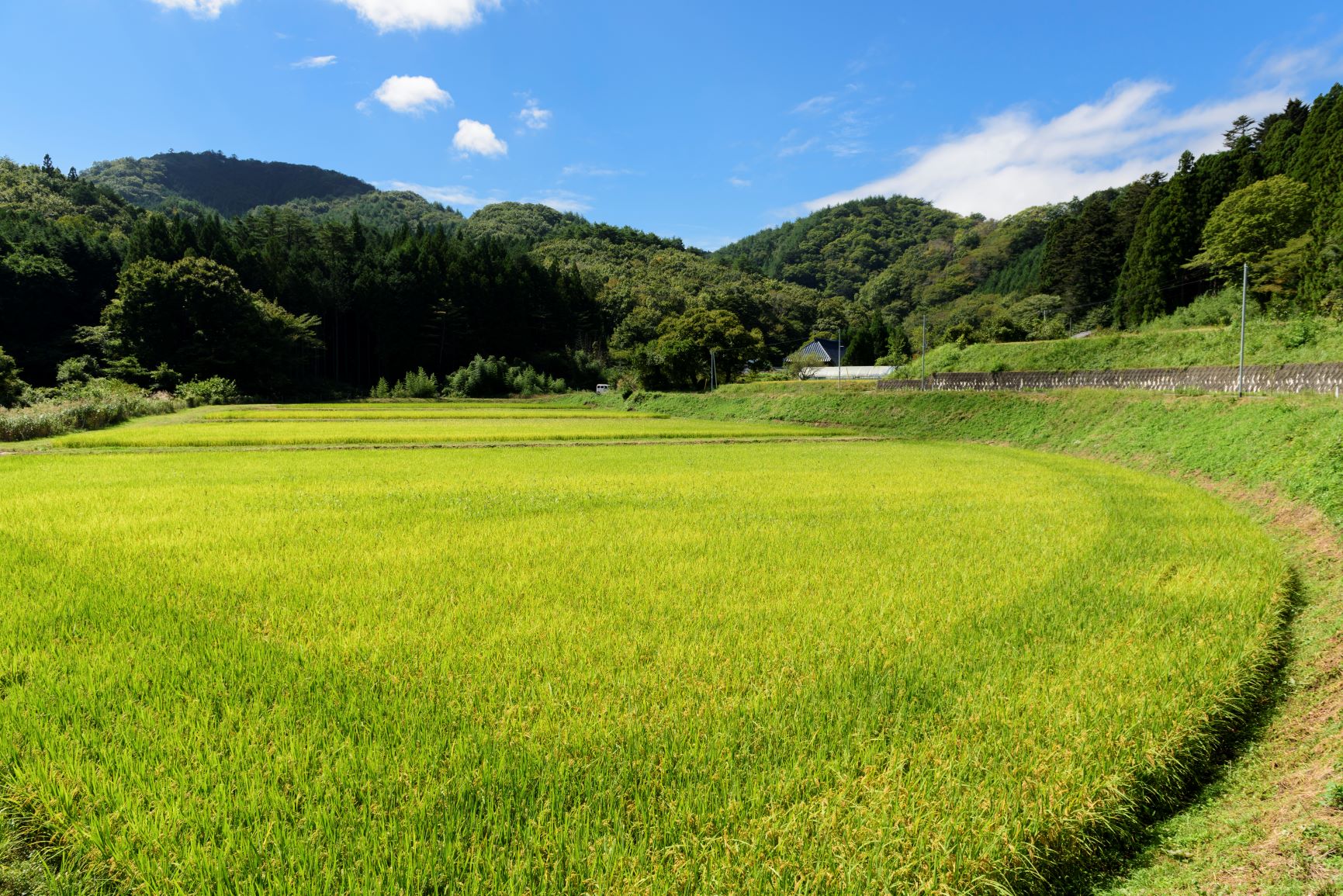 震災で被害を受けた土地の整備を完了し、町の生活に密着する農業を次世代へ。水田収益力強化ビジョンを掲げ改革を実行。