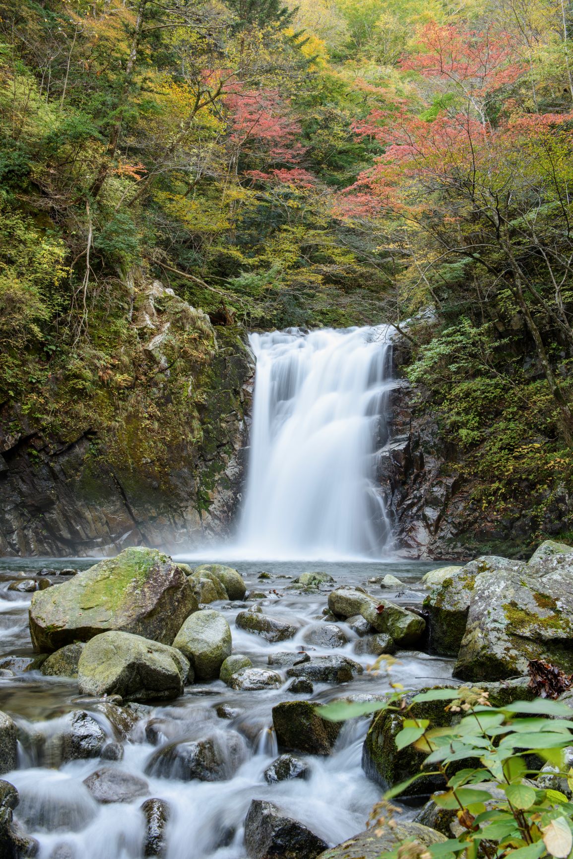 震災で被害を受けた土地の整備を完了し、町の生活に密着する農業を次世代へ。水田収益力強化ビジョンを掲げ改革を実行。